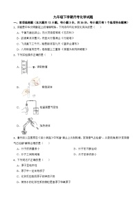 湖南省长沙市2025年九年级下学期月考化学试题含答案