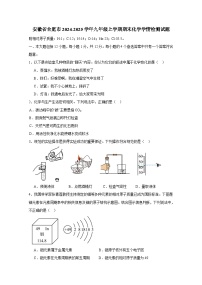 安徽省合肥市2024-2025学年九年级上册期末化学学情检测试题（附答案）