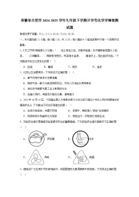 安徽省合肥市2024-2025学年九年级下册开学考化学学情检测试题（附答案）