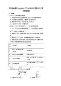 甘肃省武威市2024-2025学年九年级上册期末化学模拟检测试题（附答案）