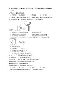 甘肃省武威市2024-2025学年九年级上册期末化学学情检试题（附答案）