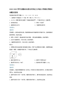 2022-2023学年安徽省合肥市庐阳区九年级上学期化学期末试题及答案