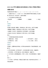 2023-2024学年安徽省合肥市肥西县九年级上学期化学期末试题及答案