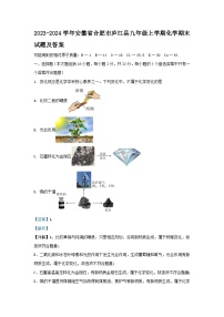 2023-2024学年安徽省合肥市庐江县九年级上学期化学期末试题及答案