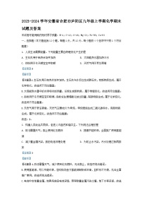 2023-2024学年安徽省合肥市庐阳区九年级上学期化学期末试题及答案
