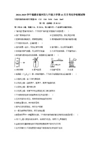 2024-2025学年福建省福州市九年级上册12月月考化学检测试卷（附答案）