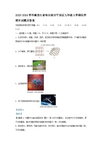 2023-2024学年黑龙江省哈尔滨市平房区九年级上学期化学期末试题及答案