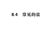 初中常见的盐作业ppt课件