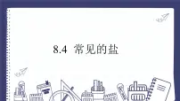科粤版（2024）九年级下册（2024）常见的盐课文配套课件ppt
