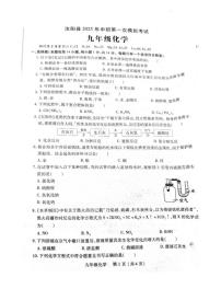 2025年河南省洛阳市汝阳县中考一模化学试题及答案