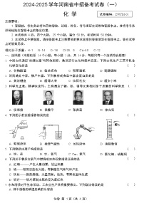 2025年郑州市外国语中学九年级一模化学试卷和答案