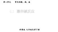 九年级下册（2024）酸和碱反应教学课件ppt
