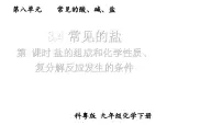 初中科粤版（2024）常见的盐教学课件ppt