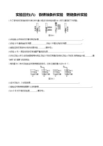2025年中考化学教材实验专题 实验回归(06)　铁锈蚀条件实验　燃烧条件实验练习