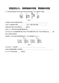 2025年中考化学教材实验专题 实验回归(06)　铁锈蚀条件实验　燃烧条件实验练习