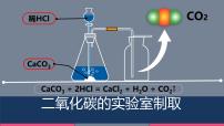 初中化学人教版（2024）九年级上册（2024）二氧化碳的实验室制取图片课件ppt