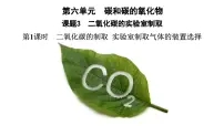 人教版（2024）九年级上册（2024）二氧化碳的实验室制取备课课件ppt