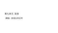人教版（2024）九年级下册（2024）溶液及其应用教课内容ppt课件