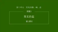 人教版（2024）九年级下册（2024）常见的盐课堂教学ppt课件