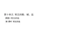 人教版（2024）九年级下册（2024）常见的盐备课课件ppt