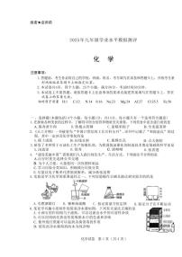 2025年新乡市九年级中考一模化学试卷及答案