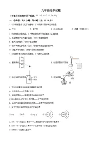 2025年陕西省咸阳市甘井中学九年级中考一模化学试题（原卷版+解析版）