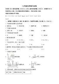 2025年江苏省南京市钟英中学中考零模化学试题（原卷版+解析版）