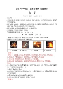 2025年中考第一次模拟考试卷：化学（成都卷）（解析版）