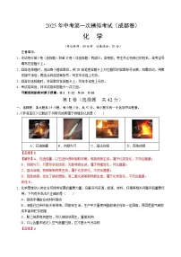 2025年中考第一次模拟考试卷：化学（成都卷）（解析版）