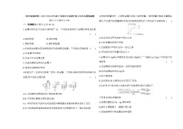 鲁教版（五四制）下学期九年级期中复习化学试题精编卷（含答案解析）