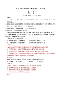 2025年中考第一次模拟考试卷：化学（河南卷）（解析版）