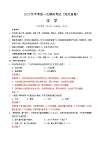 2025年中考第一次模拟考试卷：化学（湖北省卷）（解析版）
