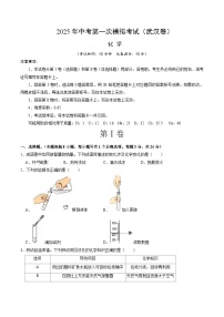 2025年中考第一次模拟考试卷：化学（武汉卷）（原卷版）