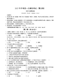 2025年中考第一次模拟考试卷：化学（青岛卷）（原卷版）
