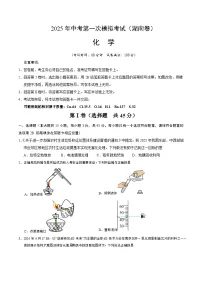 2025年中考第一次模拟考试卷：化学（湖南卷）（原卷版）