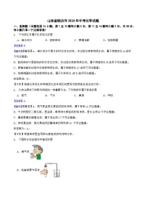 山东省临沂市2024年中考化学试题含解析答案