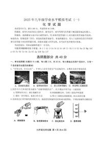 2025年济南市钢城区初三化学一模试题及其答案