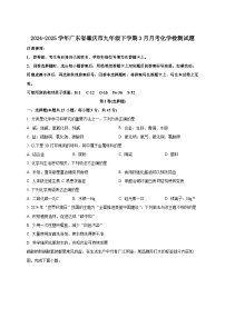 2024-2025学年广东省肇庆市九年级下册3月月考化学检测试题（附答案）