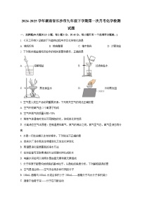 2024-2025学年湖南省长沙市九年级下册第一次月考化学检测试题（附答案）