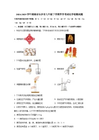 2024-2025学年湖南省长沙市九年级下册开学考试化学检测试题（附答案）