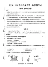 2024-2025深圳中学联考九年级（下）一模化学试卷与答案