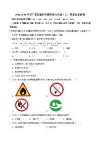 广东省惠州市博罗县2024-2025学年九年级上学期期末考试化学试卷