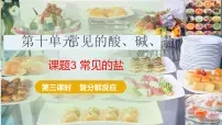 初中化学人教版（2024）九年级下册（2024）常见的盐示范课课件ppt