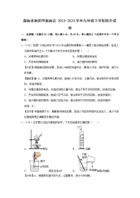 湖南省衡阳市衡南县2023-2024学年九年级下学期期中化学试卷（解析版）