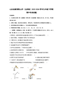 山东省威海乳山市（五四制）2023-2024学年九年级下学期期中考试化学试卷