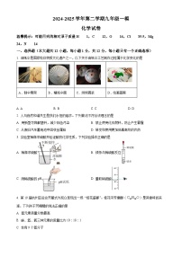 2025年安徽省合肥市庐阳中学中考一模化学试题