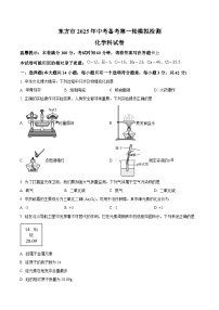 2025年海南省省直辖县级行政单位东方市中考一模化学试题