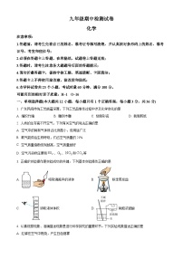 湖南省长沙市长郡教育集团2024-2025学年九年级下学期期中化学试题