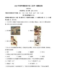 2025年江苏省无锡市锡东片区中考一模化学试题（原卷版+解析版）