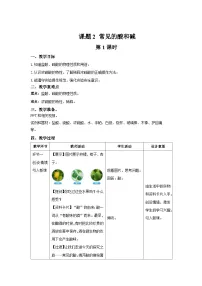 人教版（2024）九年级下册（2024）常见的酸和碱第1课时教案及反思